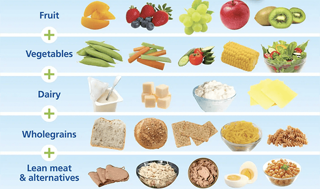 Fruit, vegetables, dairy, wholegrains and lean meat or alternatives food groups